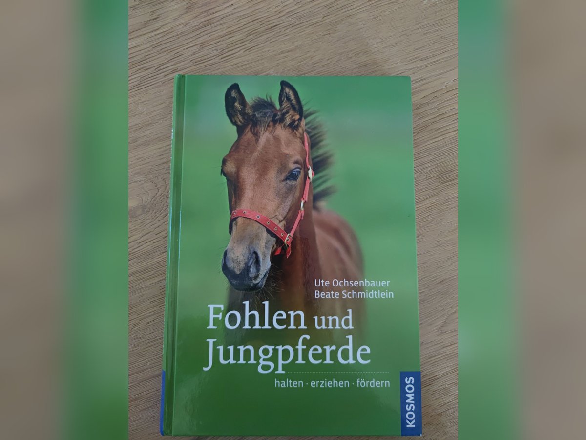Buch Fohlen und Jungpferde Buch Fohlen und Jungpferde