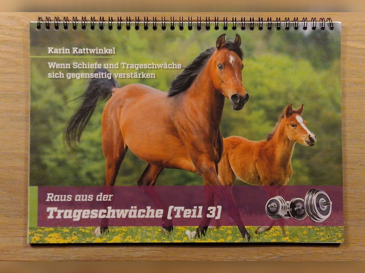 Karin Kattwinkel Raus aus der Trageschwäche Hybrid-Wandkalender Teil 3