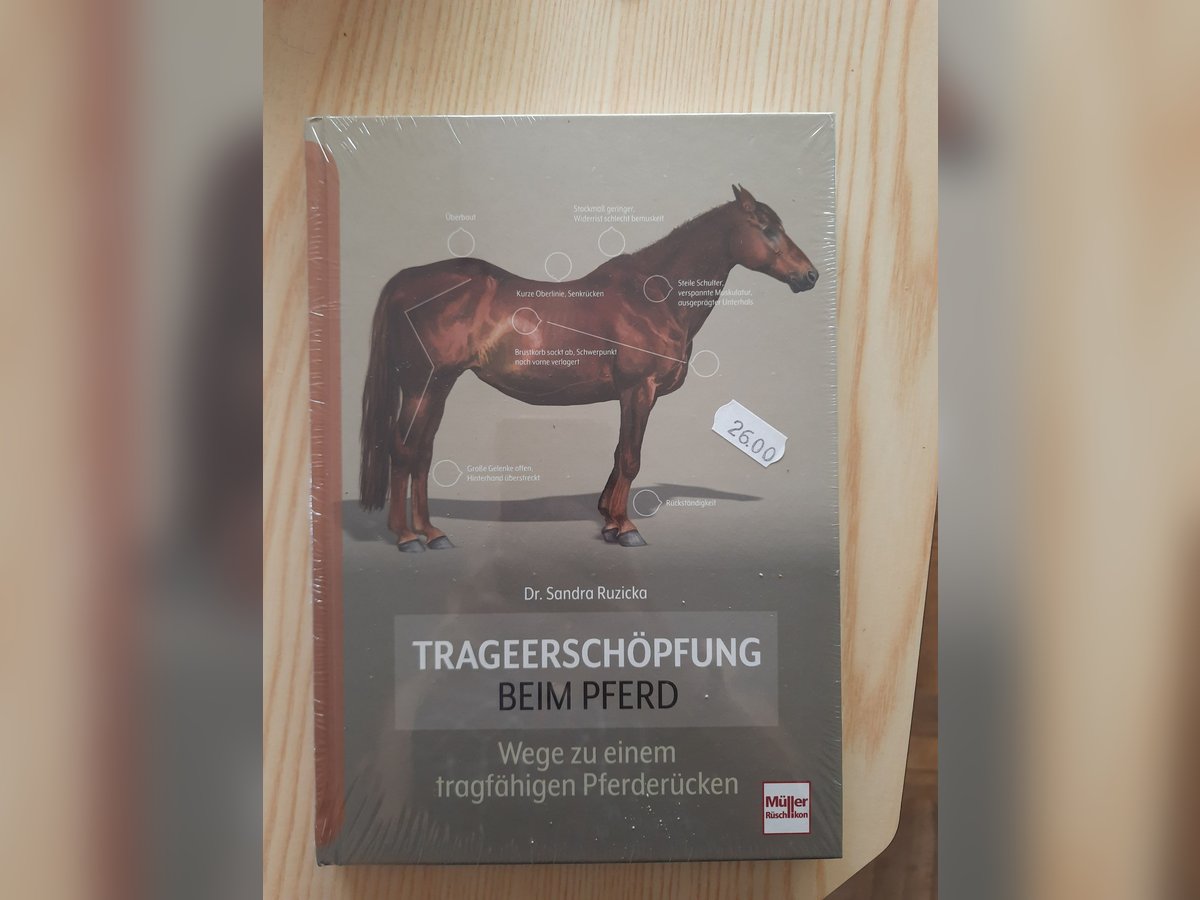 Trageerschöpfung, Sandra Ruzicka Trageerschöpfung, Sandra Ruzicka
