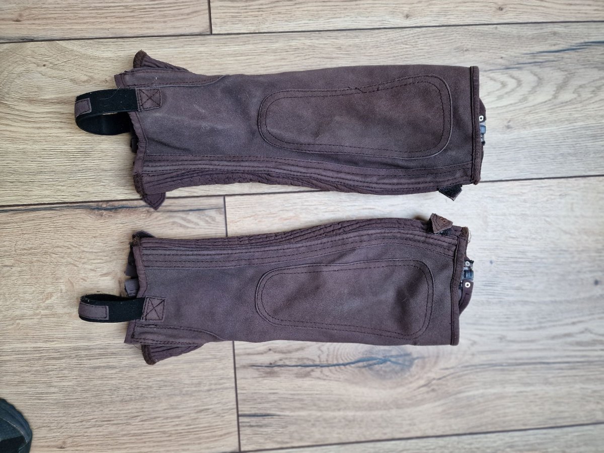 Steeds Chaps M braun