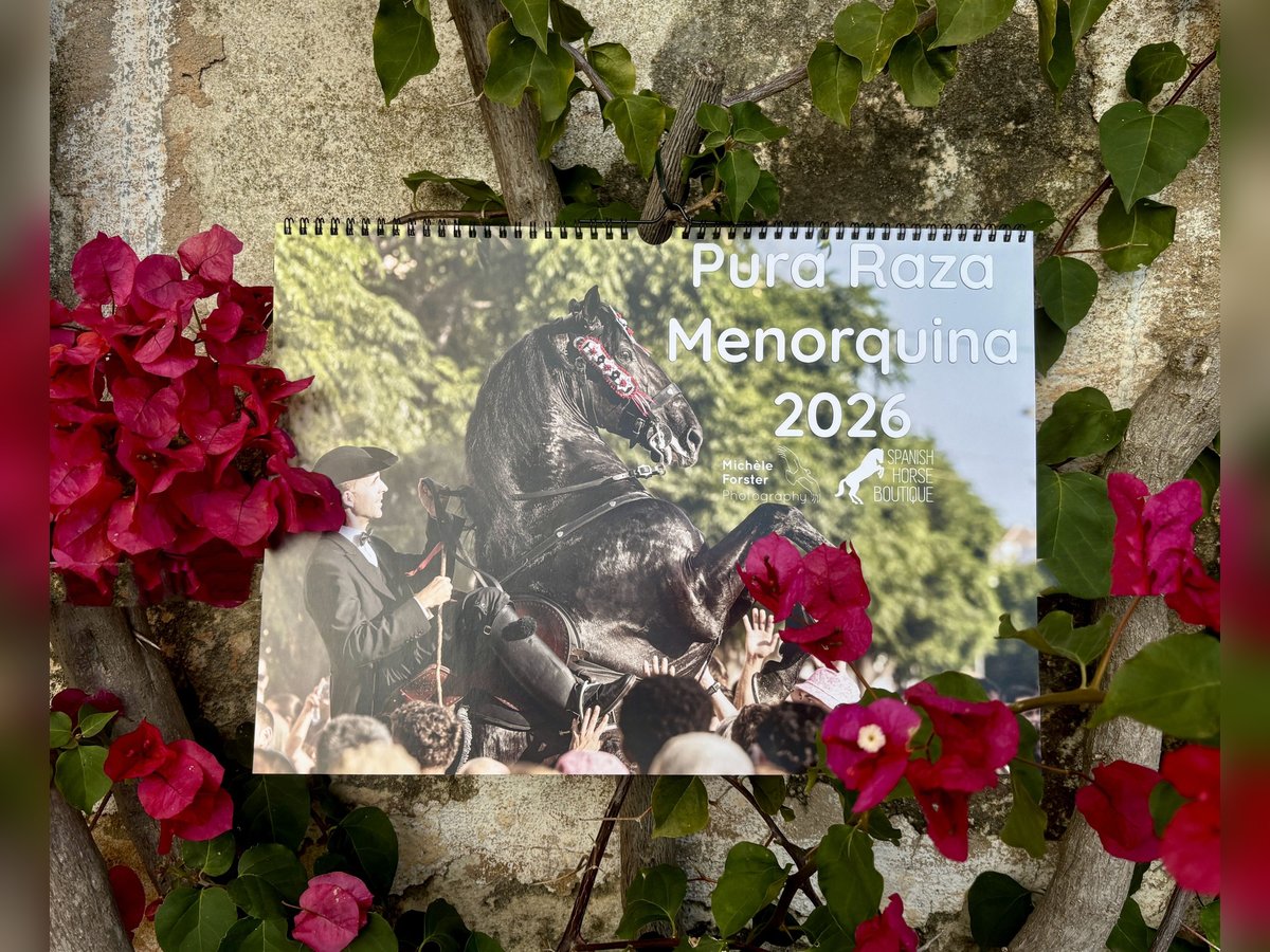 Menorquinkalender 2026 inkl. Versand in DE