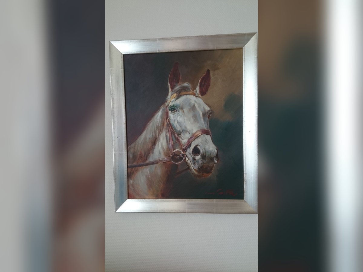Ölgemälde Pferdekopf Ölgemälde Pferdekopf