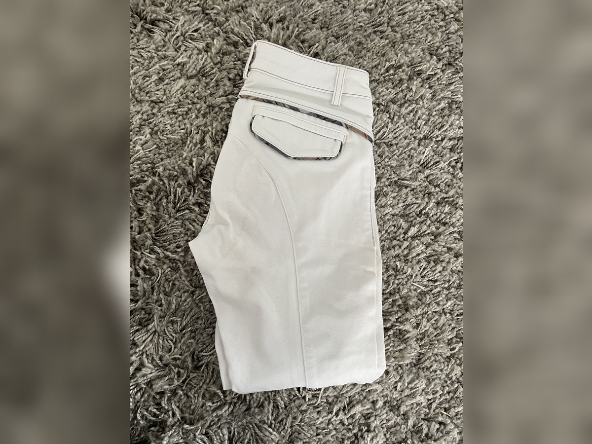 Animo Reithose - Weiss D32