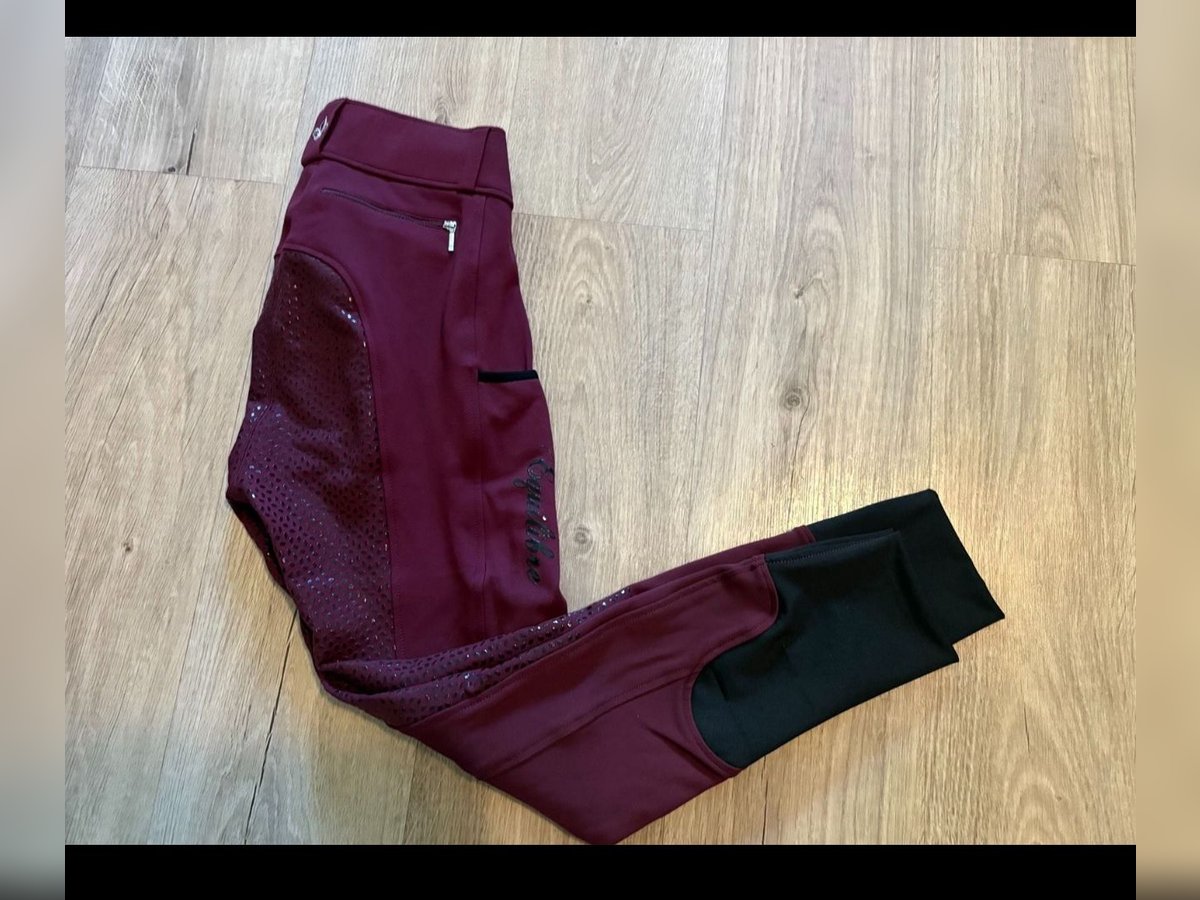 Grip- Reithose Gr. 36 Equilibra