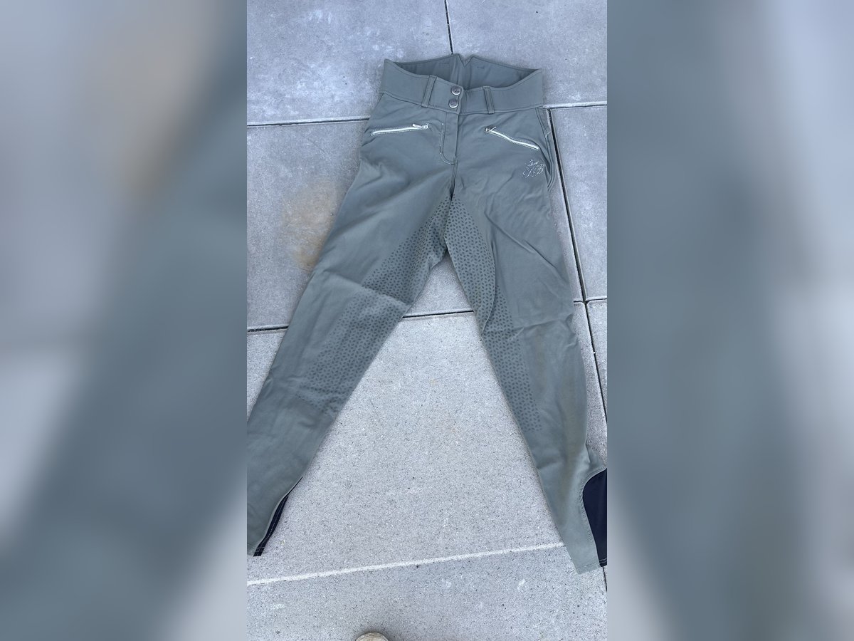 Grüne Hochbund -Reithose 