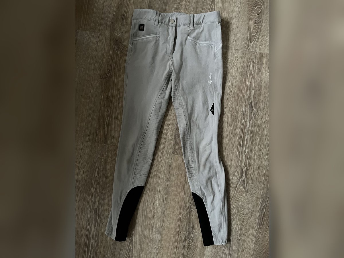 Hellgraue Reithose von Equiline
