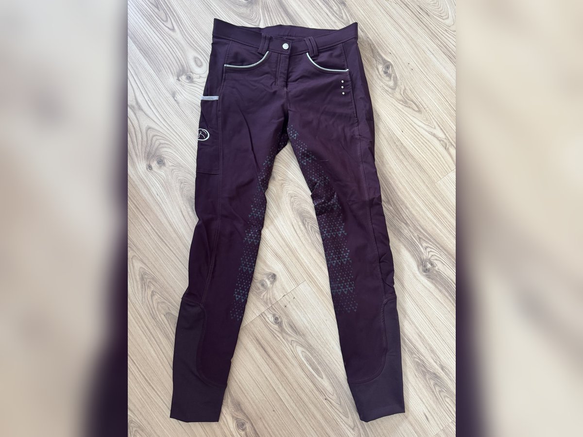 Neue Reithose 