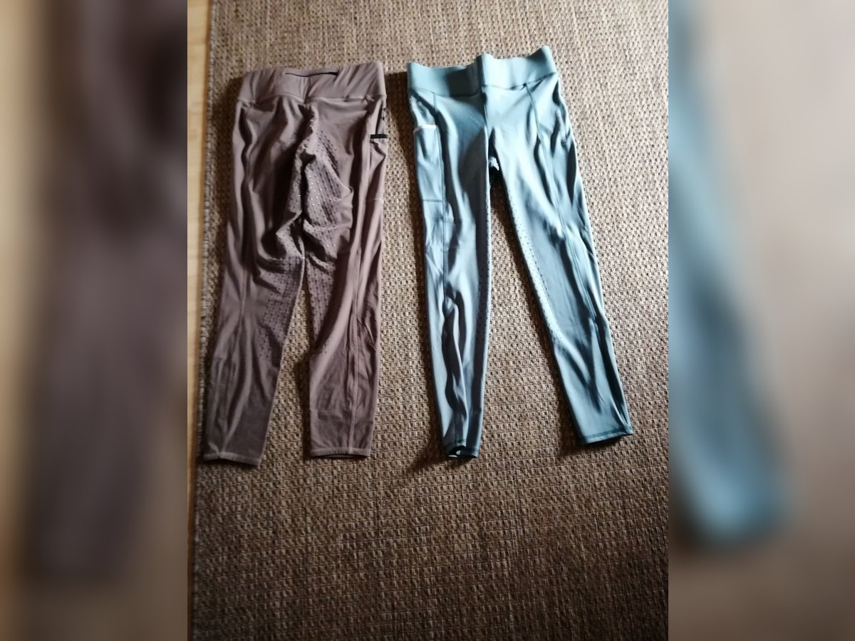 Reit-Leggins