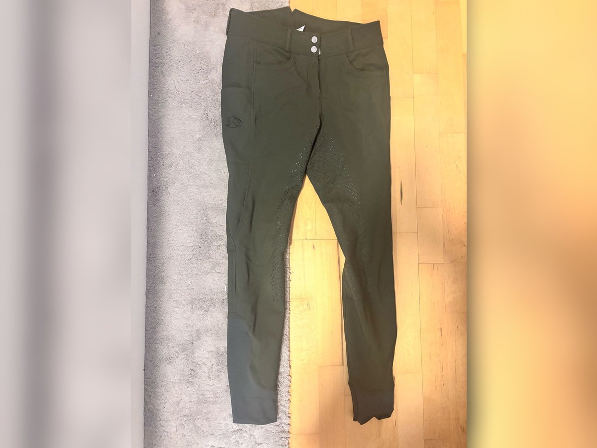 Reithose grün Reithose grün