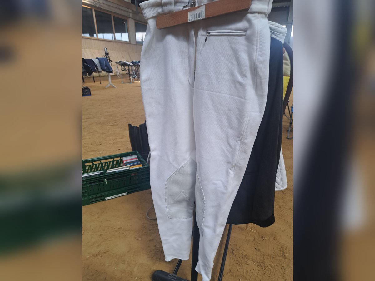 Reithose Pikeur