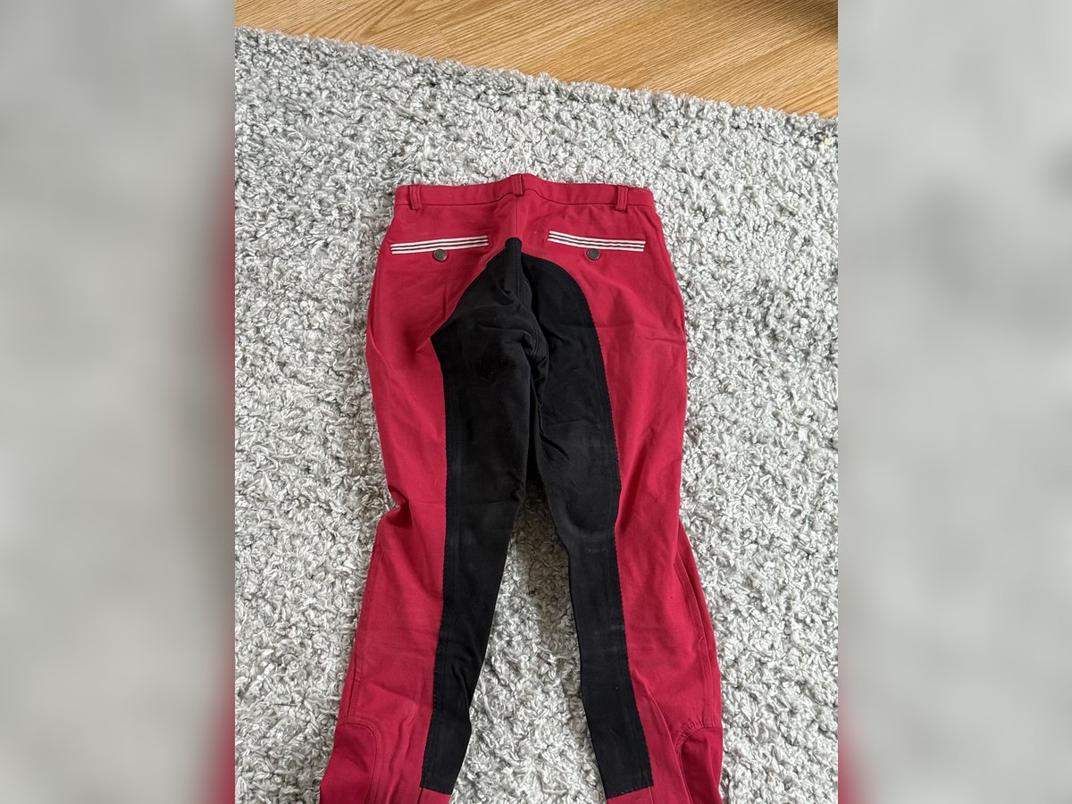 Reithose rot
