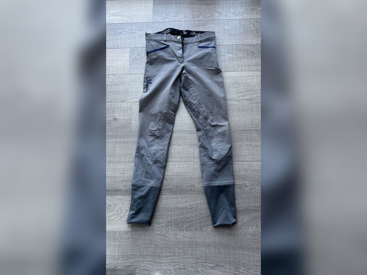 Spooks Reithose grau XS