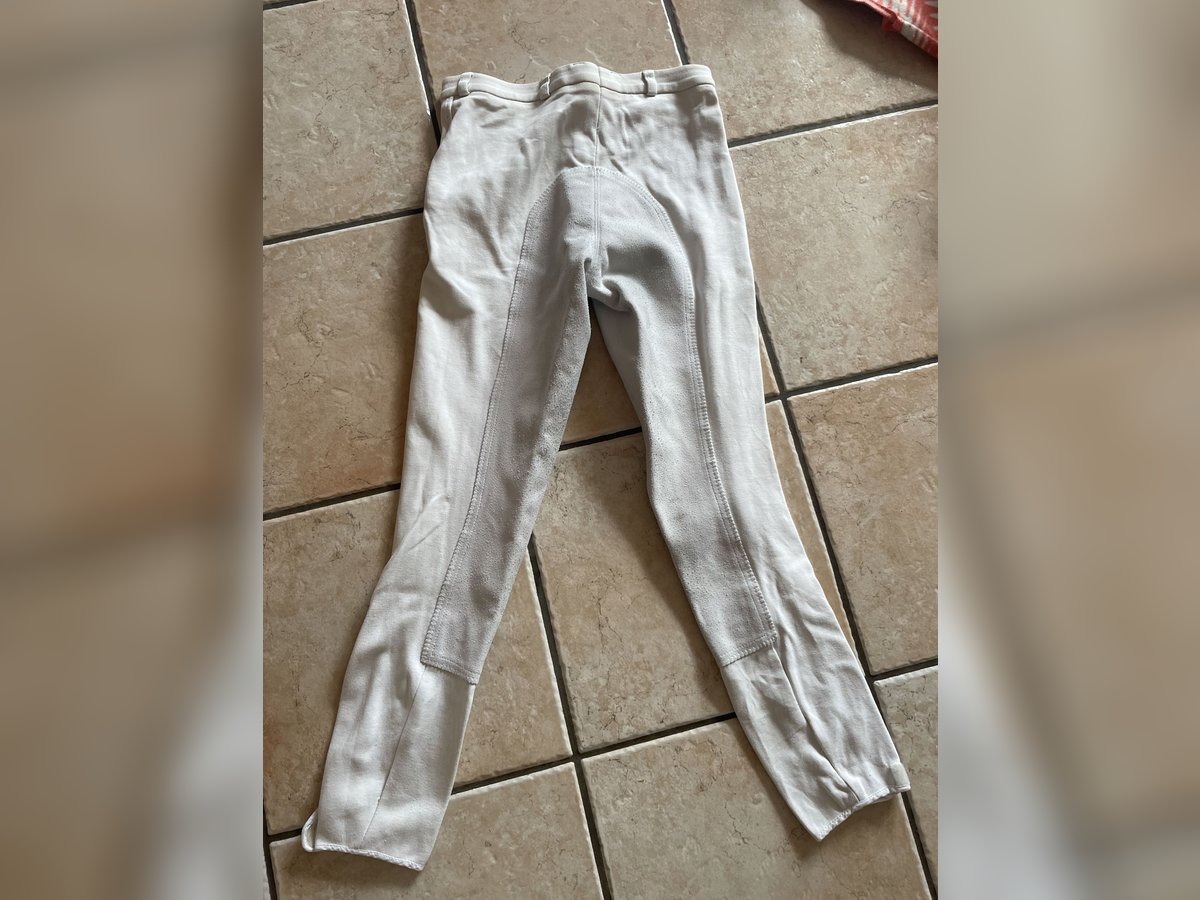 Tunierreithose 