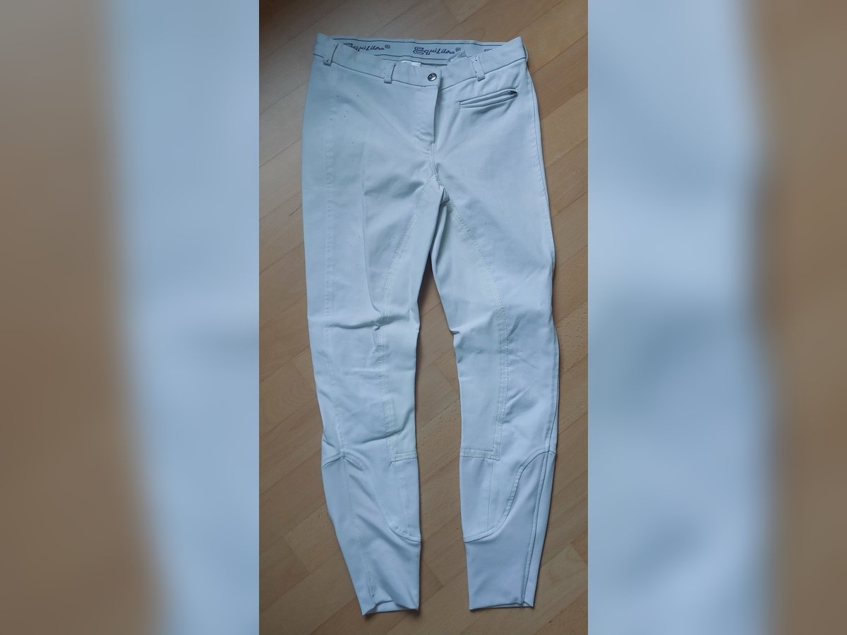 Weiße Reithose von Equilibre Weiße Reithose von Equilibre