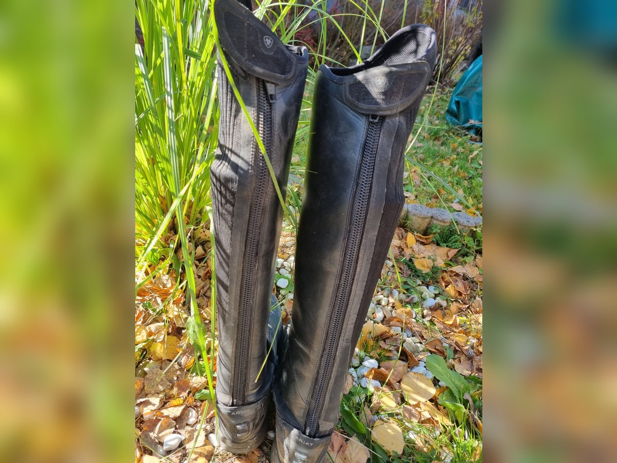 Ariat Ascent Tall riding Boot  Ariat Ascent Tall riding Boot