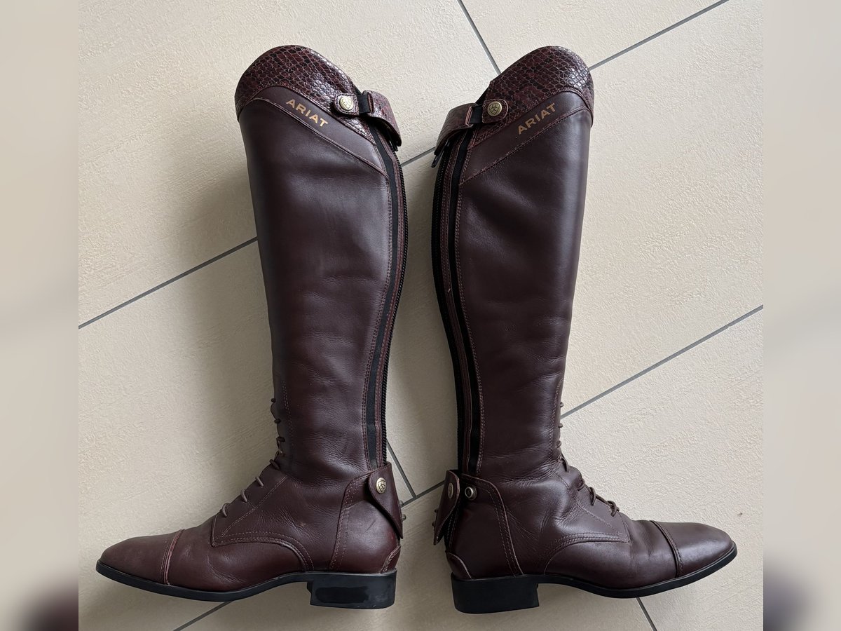 Ariat Palisade Reitstiefel braun/croco, Gr. 38, Neuwertig