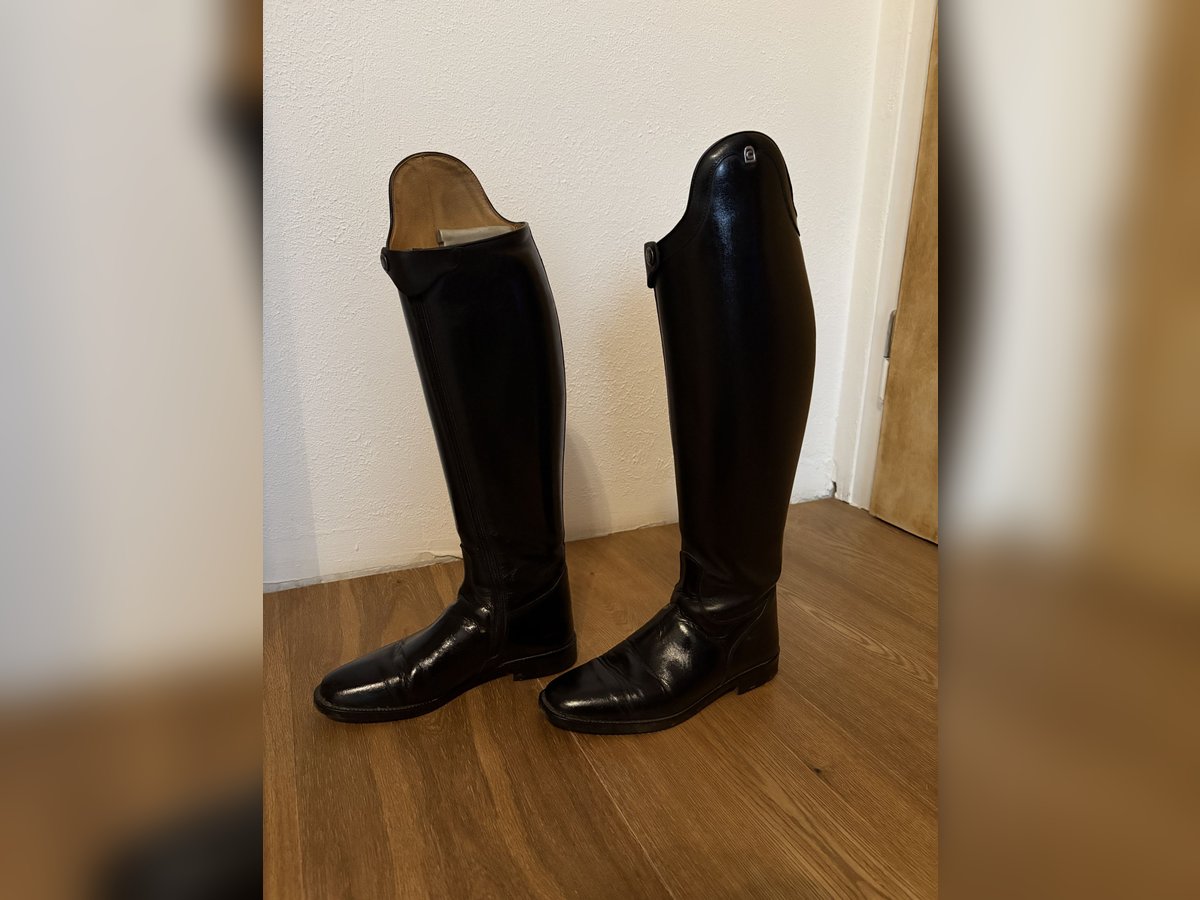 Cavallo - Dressurstiefel INSIGNIS (Gr.5)