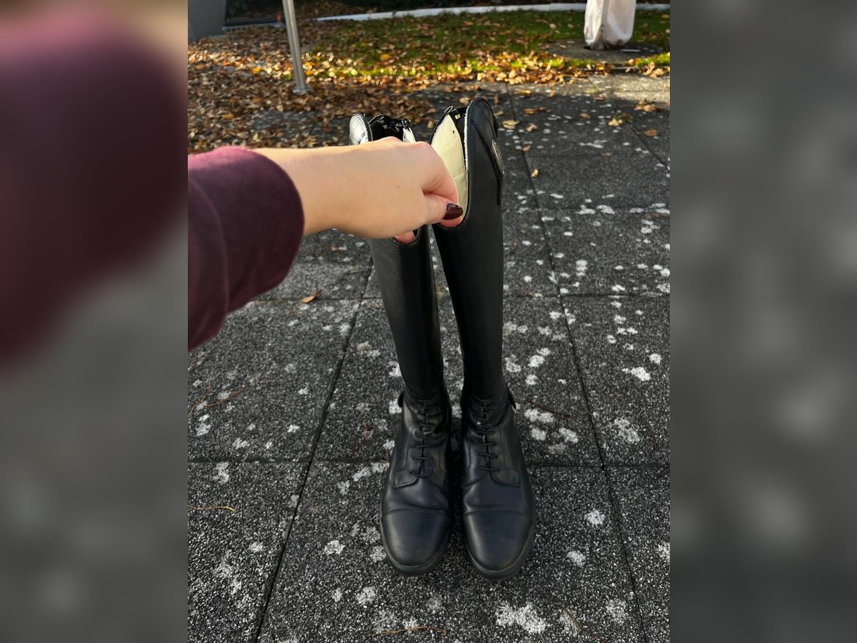 Echtleder Reitstiefel von Fellini Gr. 37 H:45 W:32