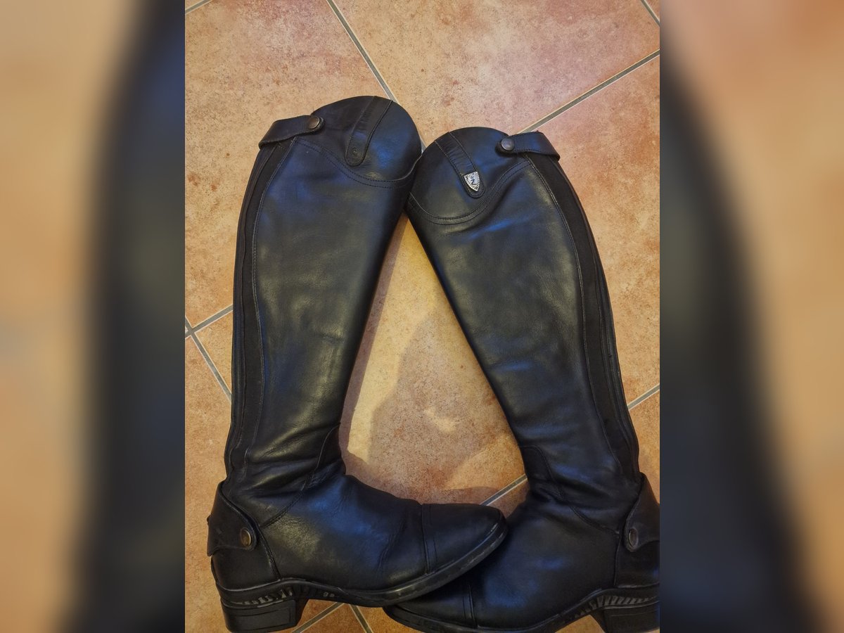 HOrze Reitstiefel 