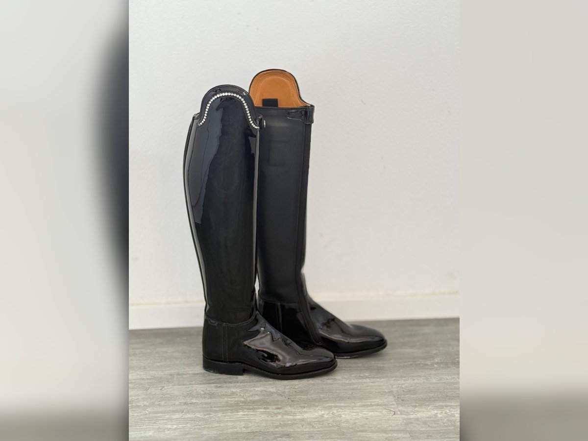 Königs Dressurstiefel „Lady“ 