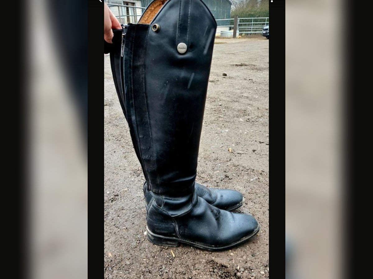 Loesdau Reitstiefel New Porto 38N 