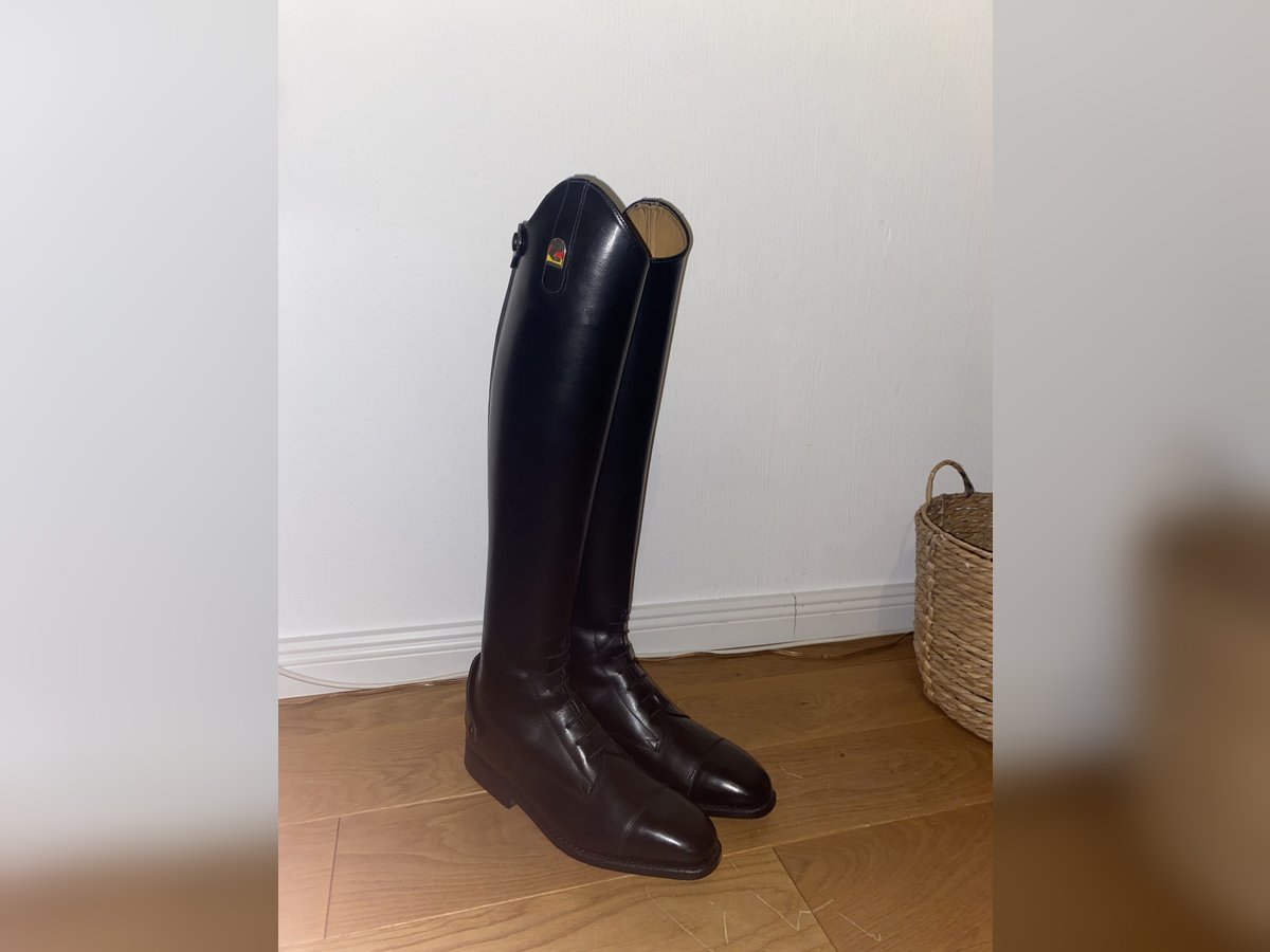 neue Cavallo Stiefel
