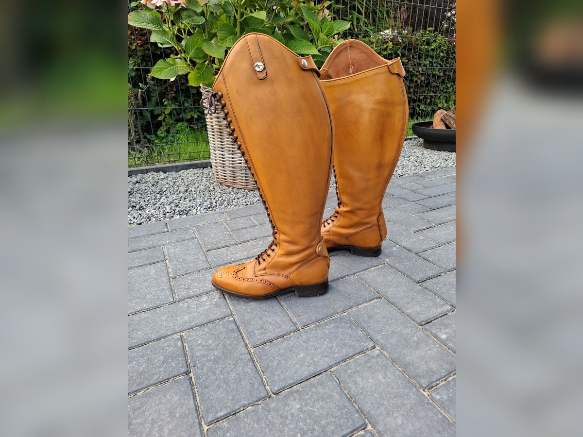 Neuwertige Reitstiefel Celeris  Größe 40/41