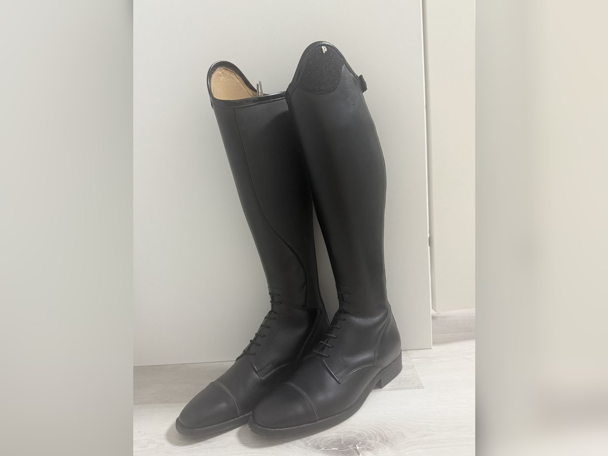 Petrie Reitstiefel  Petrie Reitstiefel
