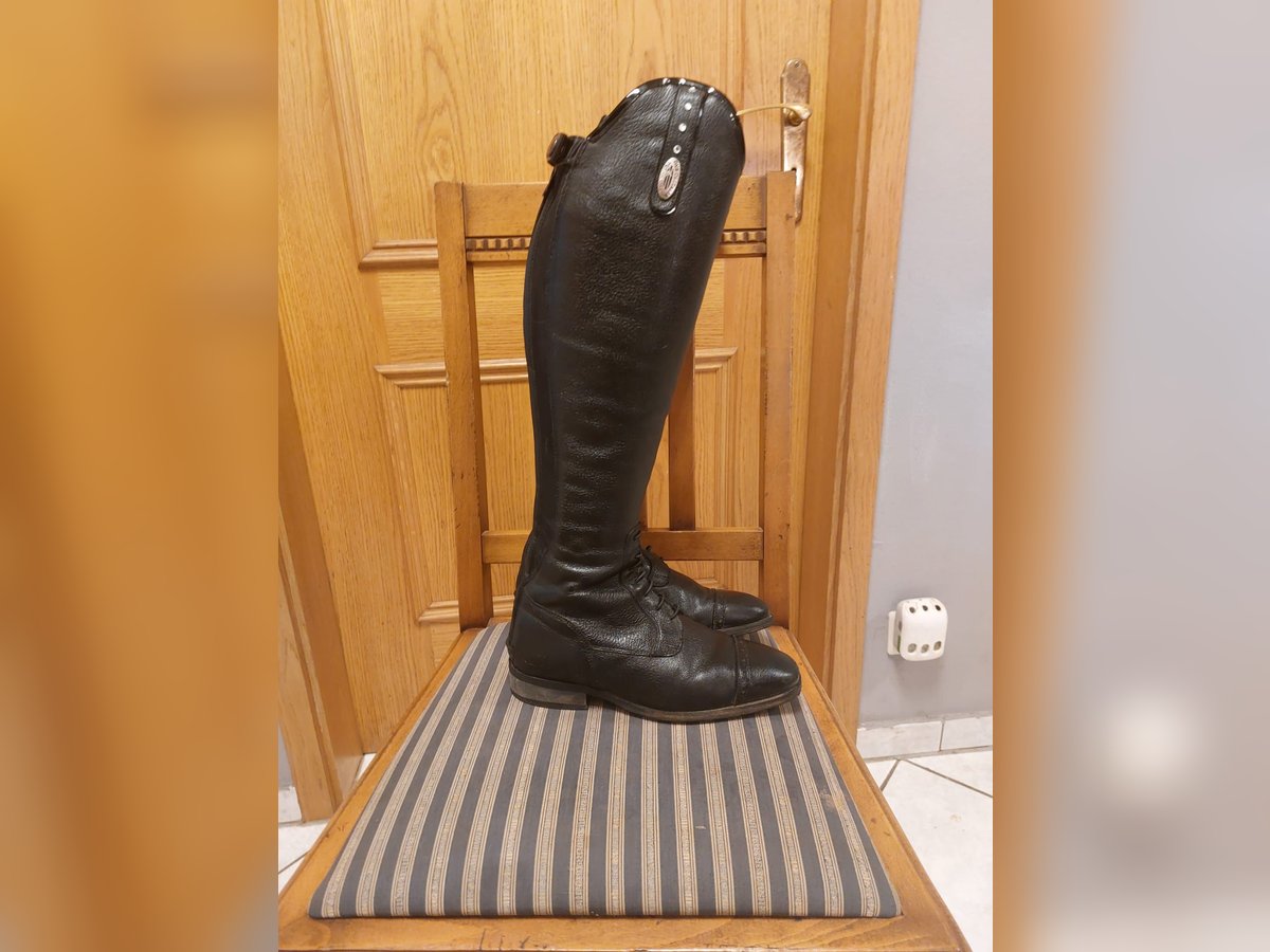 Reitstiefel DeNiro Tricolore Gr 37