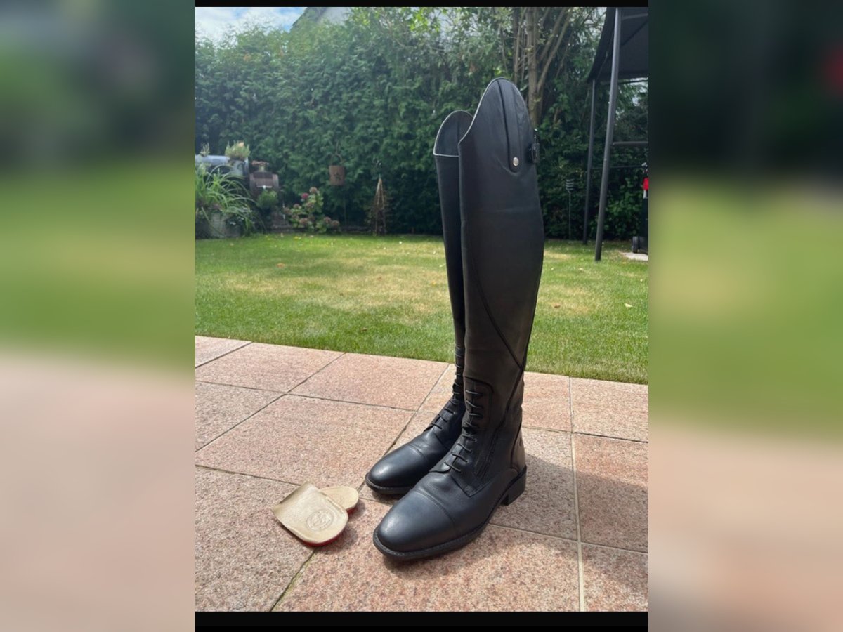 Reitstiefel Essex