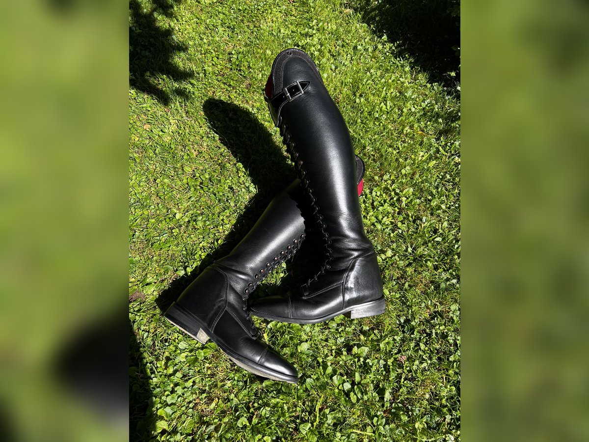 Reitstiefel Healthy Horses wie Deniro 