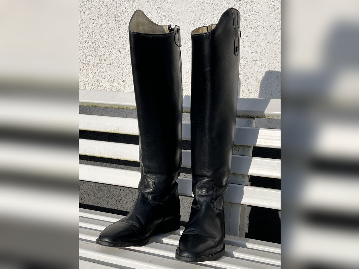 Reitstiefel Hobo Gr 43
