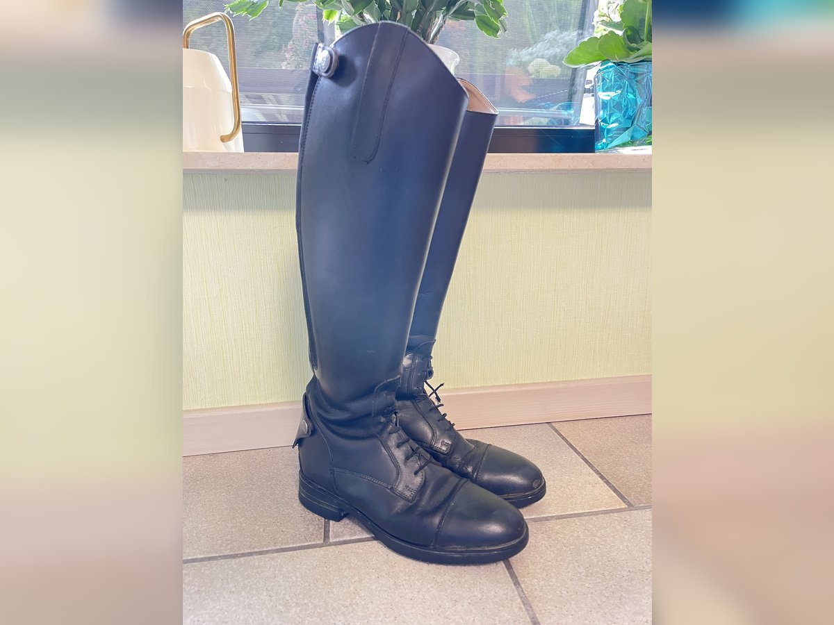 Reitstiefel von Steeds 