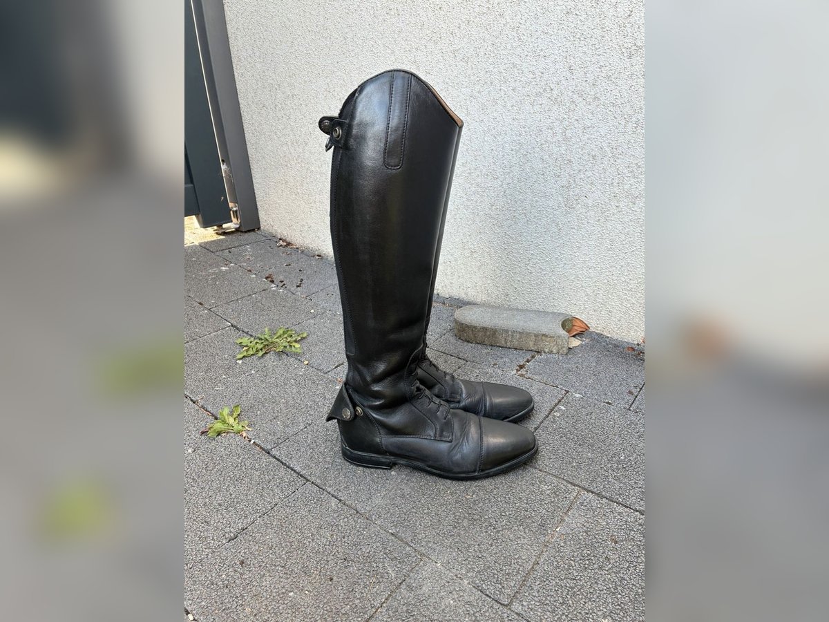 Steeds Reitstiefel