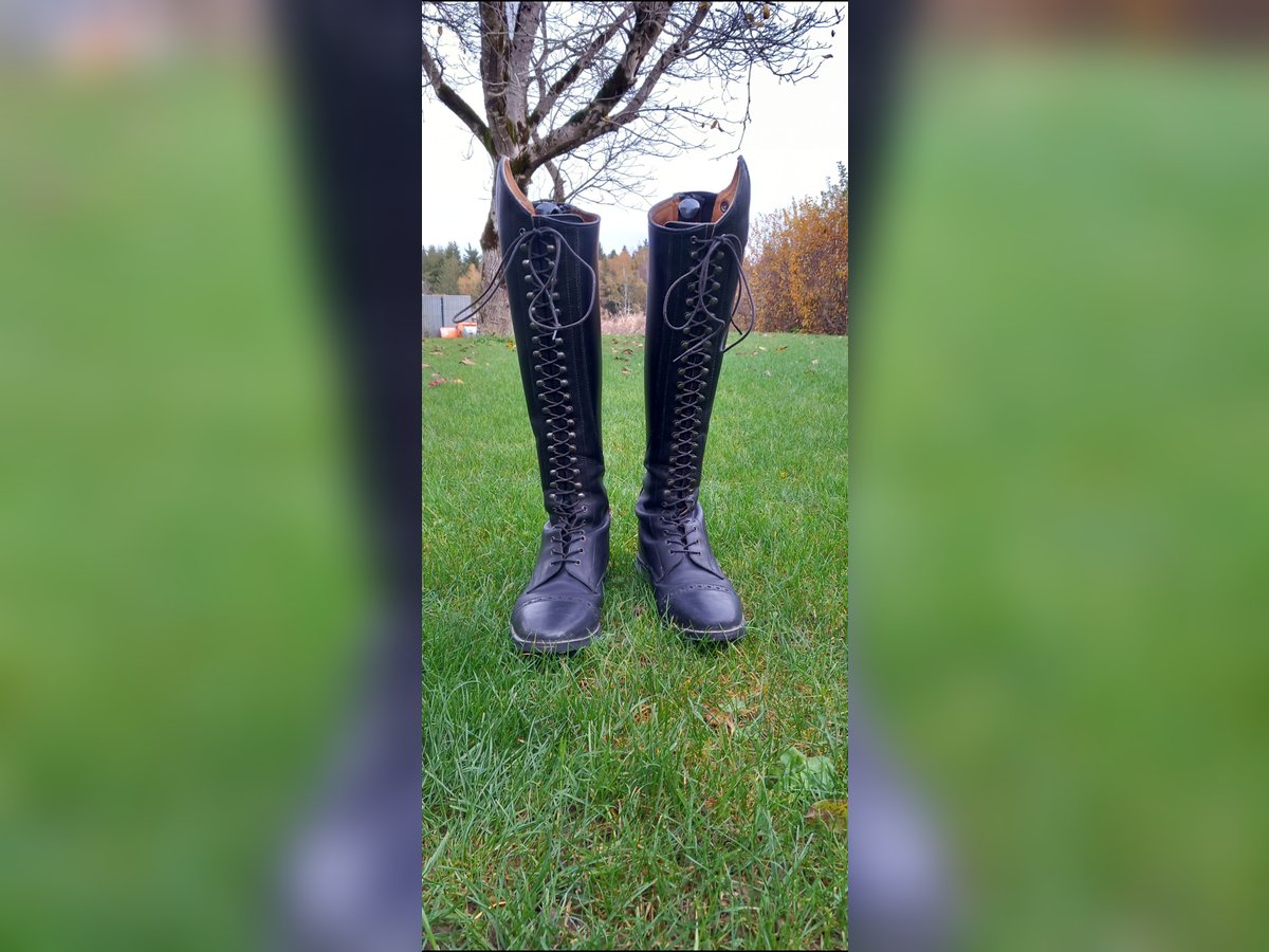 Verkaufe meinen gut erhaltene Reitstiefel