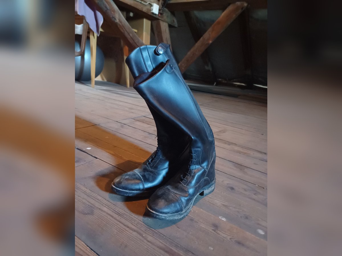Ich verkaufe reitstiefel 