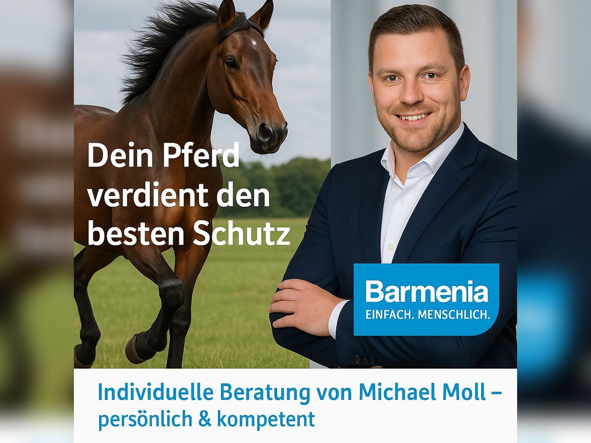 Pferde OP-Versicherung 
