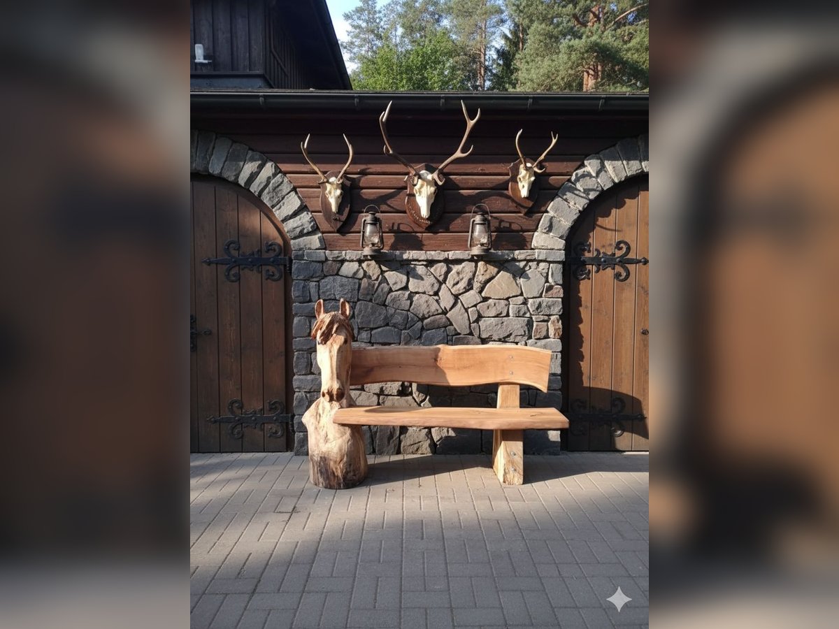 Pferdebank Holzbank Eiche Pferdezubehör Gartenbank Bank Isländer