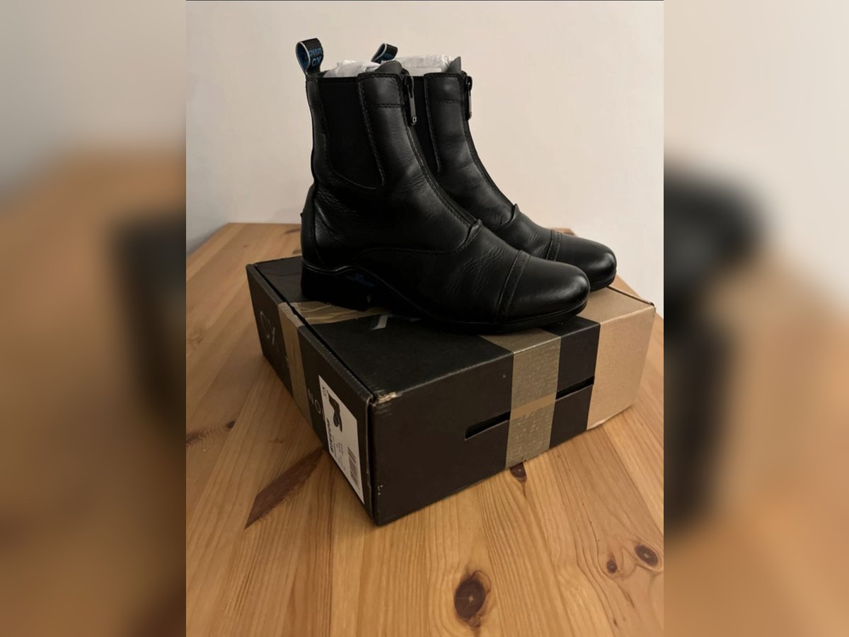 Stiefeletten Steeds Maddock II CX