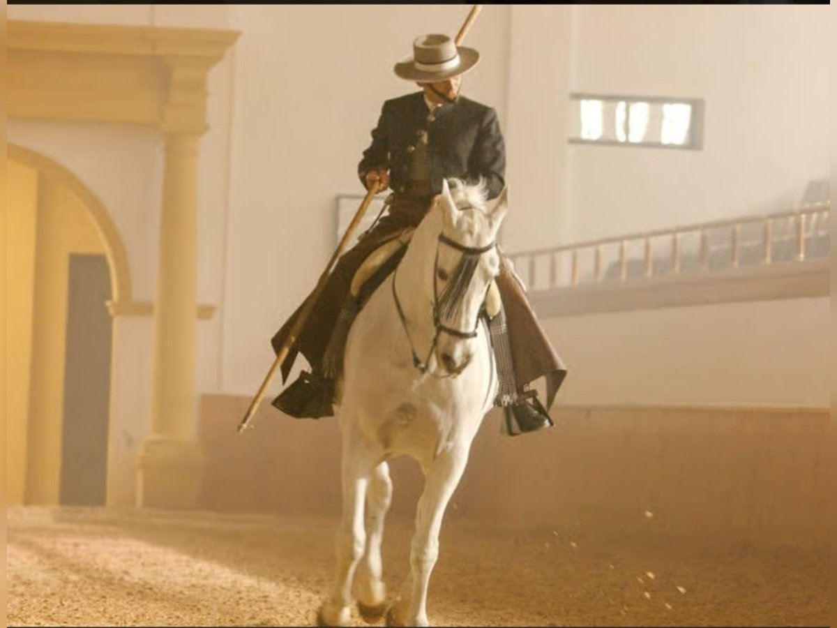 Entdecke Andalusiens Pferdewelt