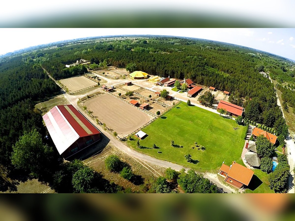  Ihr Anteil am Paradies – El Bronco Ranch, Ungarn   