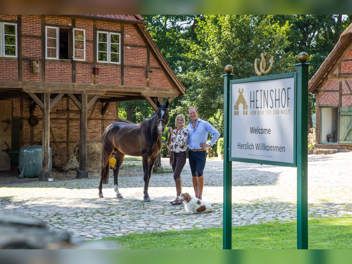 Herzlich Willkommen auf dem Heinshof! – Reiterferien vor dem Tor zur Welt!