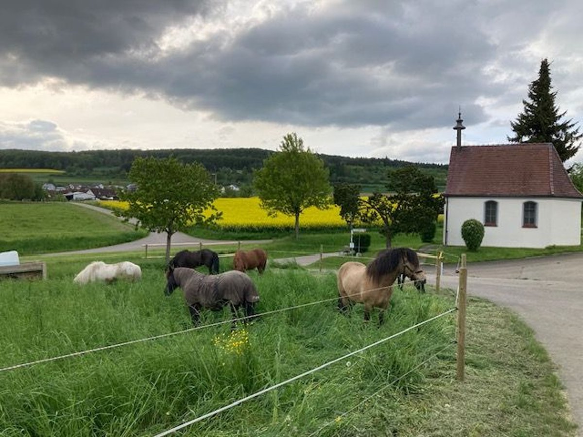 Reiterferien auf der schwäbischen Alb