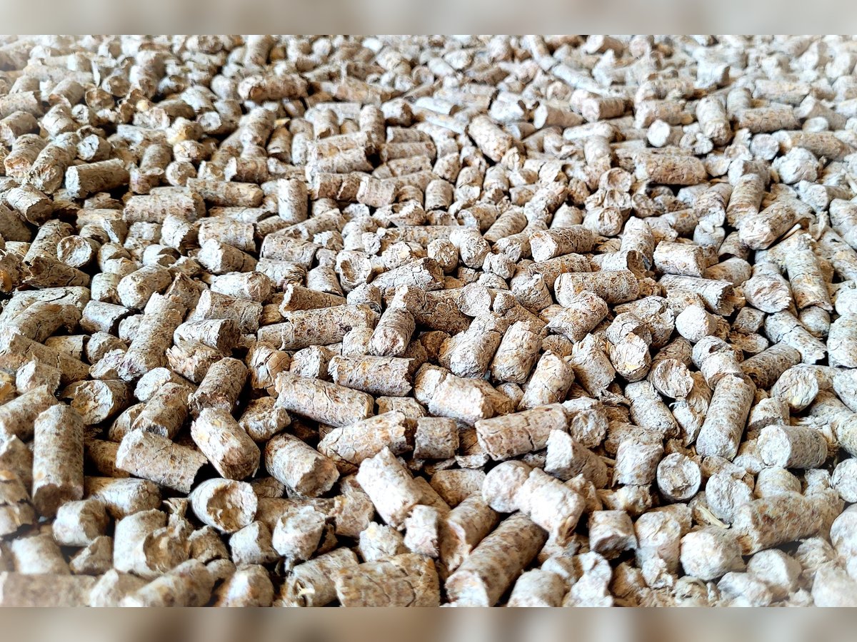 Miscanthus Einstreu Pellets (8 mm) für hygienisches Stallklima