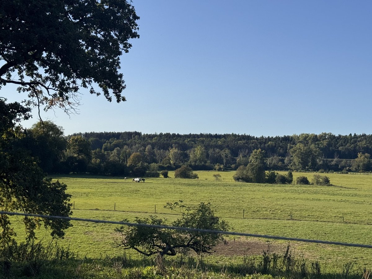 Aufzuchtsplatz für Hengstfohlen 
