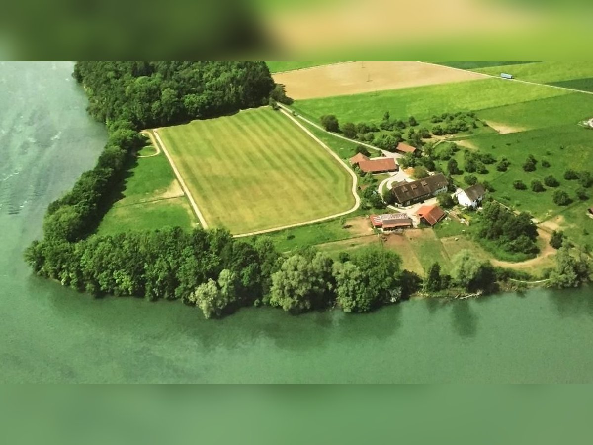 Bieten Pferdeboxen auf dem Ettikoner Hof, idyllische Lage am Rhein, direkt an CH-Grenze 