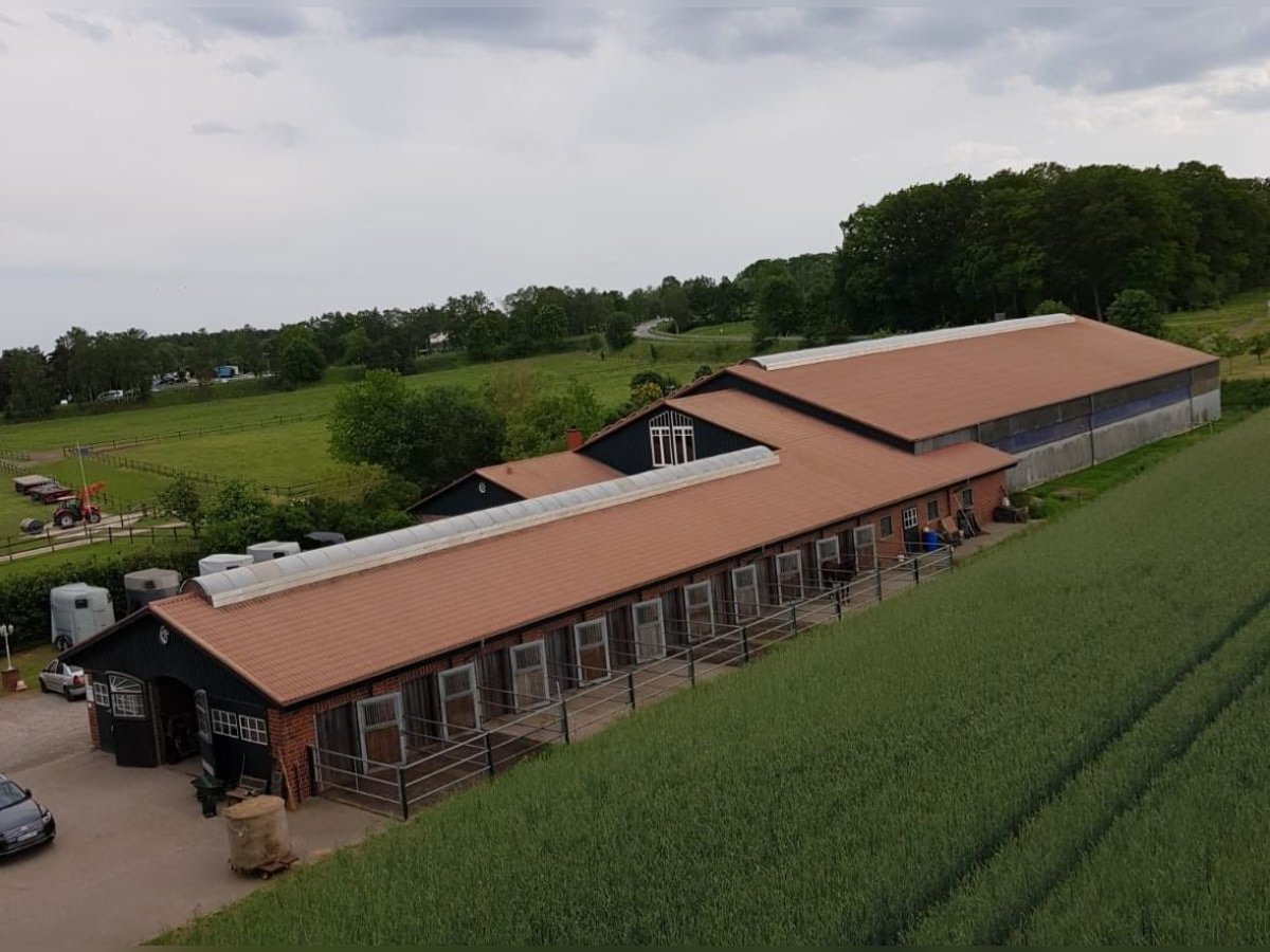 Boxen auf schöner Reitanlage frei