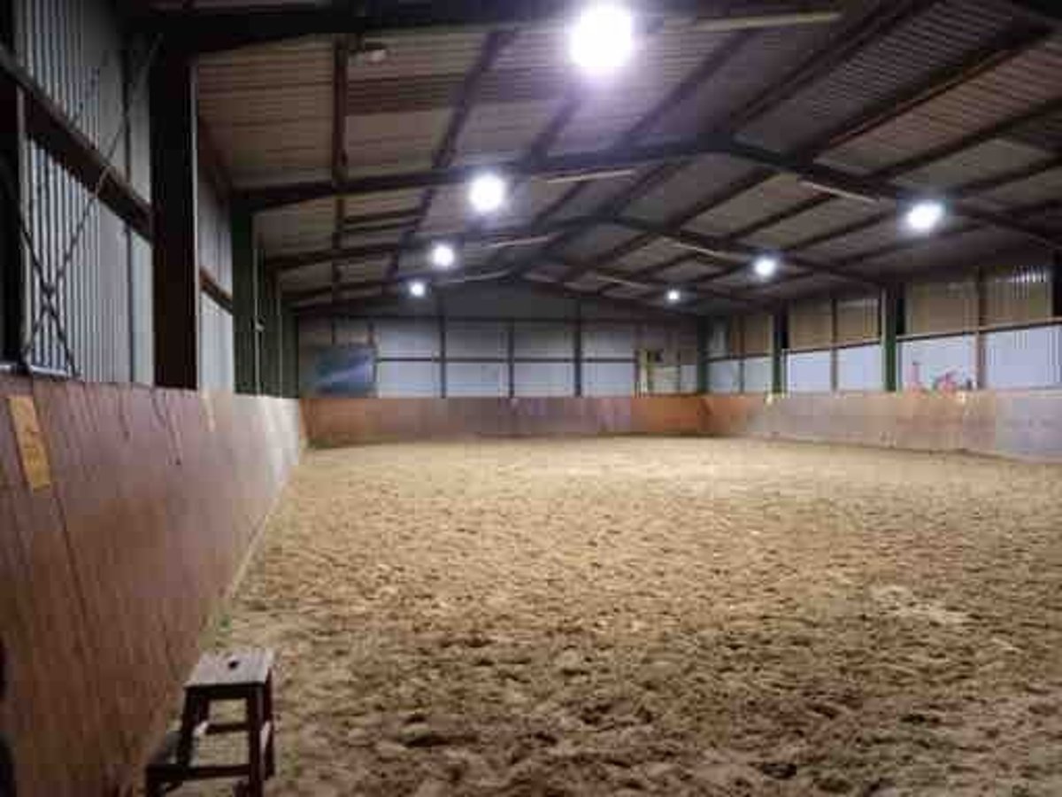 Boxen frei auf privater Reitanlage