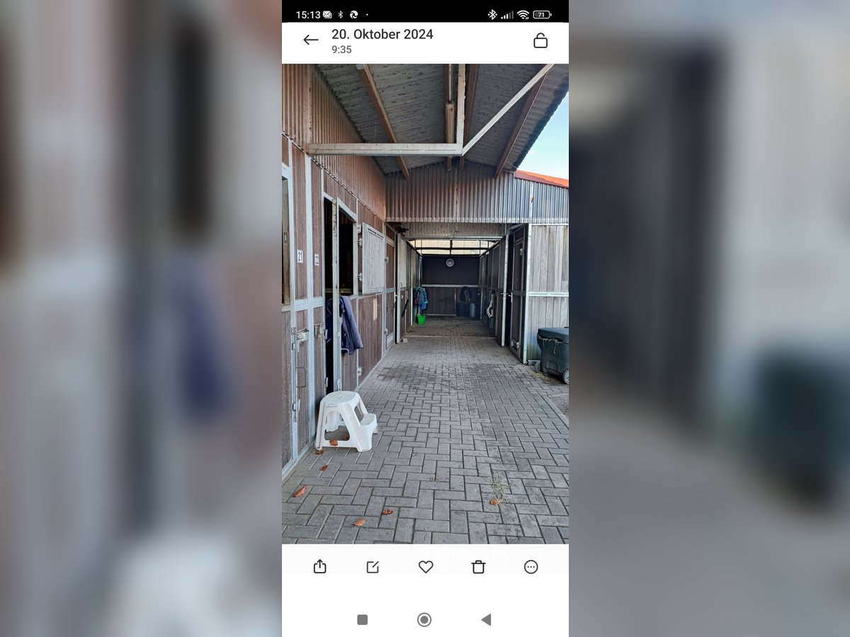 Boxen frei Boxen frei