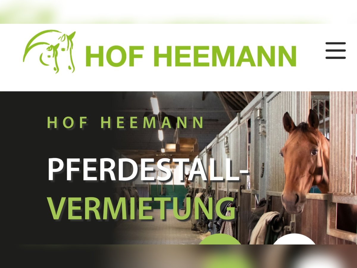Boxen, separater Stalltrakt, Pferdepensionsstall